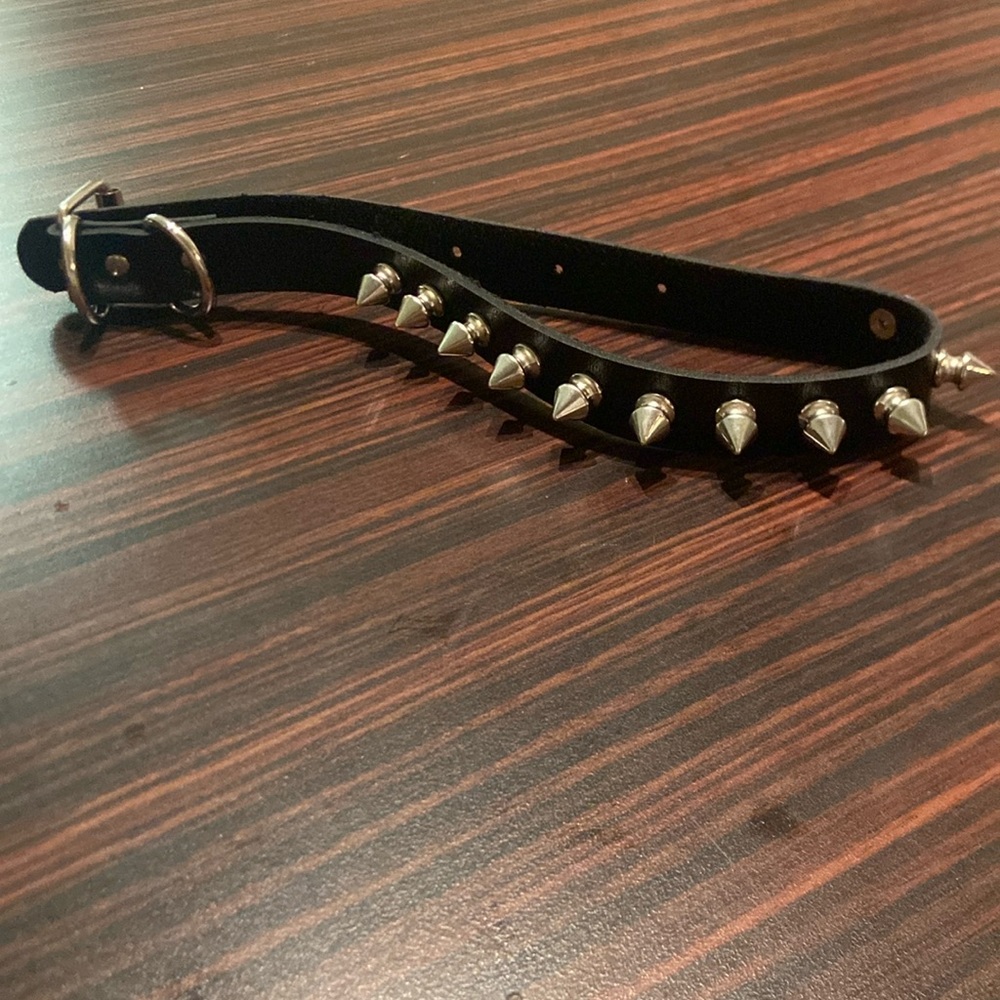 Spiked collar
